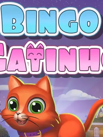Bingo Gatinho